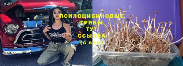СК Магас
