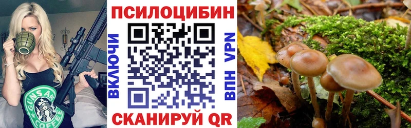 Псилоцибиновые грибы мухоморы  Хадыженск 